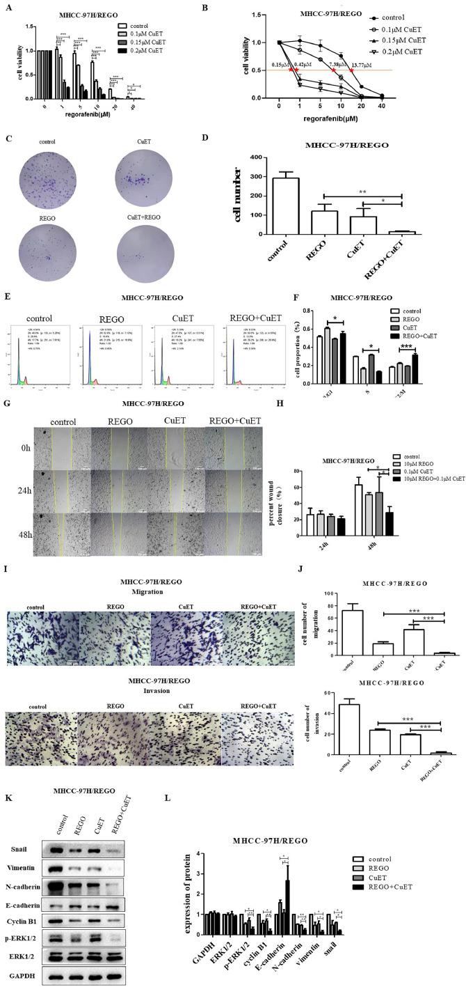 https://cdn.ncbi.nlm.nih.gov/pmc/blobs/69ff/11267041/a830338d35d9/gr5.jpg