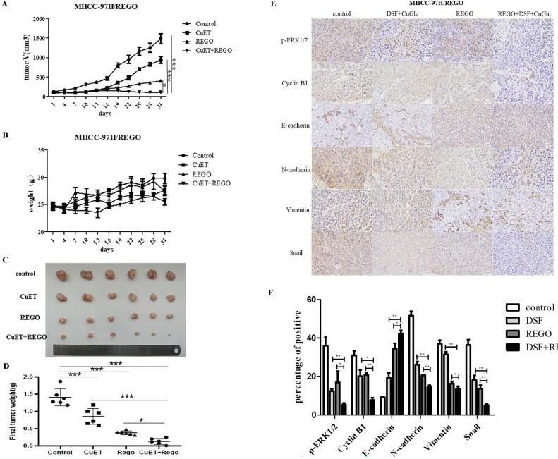 https://cdn.ncbi.nlm.nih.gov/pmc/blobs/69ff/11267041/a85cfc4cbeeb/gr6.jpg