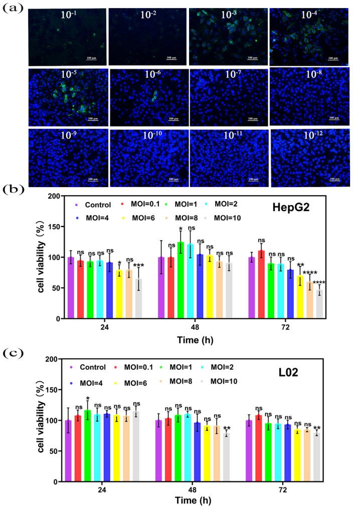 https://cdn.ncbi.nlm.nih.gov/pmc/blobs/6a01/10888545/455743eee1ea/ijms-25-02353-g004.jpg