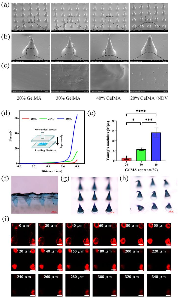 https://cdn.ncbi.nlm.nih.gov/pmc/blobs/6a01/10888545/f7c94b15da70/ijms-25-02353-g005.jpg