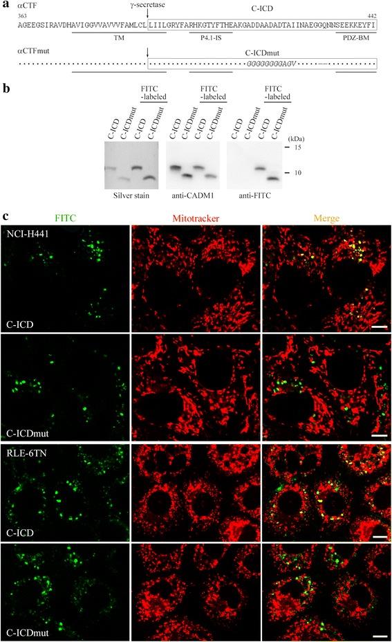 https://cdn.ncbi.nlm.nih.gov/pmc/blobs/6a03/4531499/0ab32c16666e/12929_2015_173_Fig1_HTML.jpg