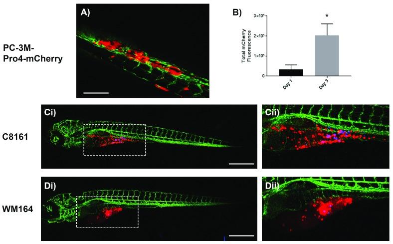 https://cdn.ncbi.nlm.nih.gov/pmc/blobs/6a03/6305240/c2f55595dadf/f1000research-7-18962-g0002.jpg