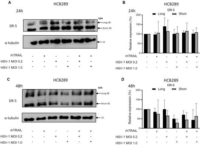 https://cdn.ncbi.nlm.nih.gov/pmc/blobs/6a04/10590400/7cb75afbcd19/41598_2023_44888_Fig7_HTML.jpg