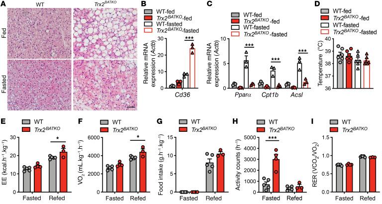 https://cdn.ncbi.nlm.nih.gov/pmc/blobs/6a05/9057632/3b9beea4e342/jci-132-148852-g150.jpg