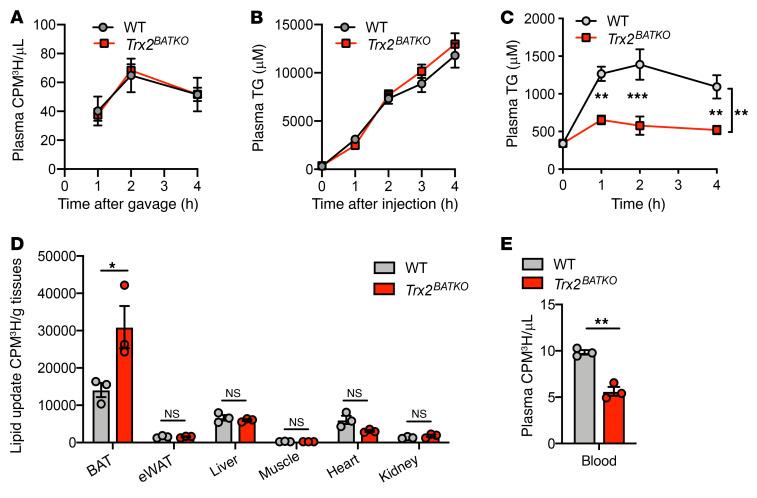https://cdn.ncbi.nlm.nih.gov/pmc/blobs/6a05/9057632/c9725c394193/jci-132-148852-g147.jpg