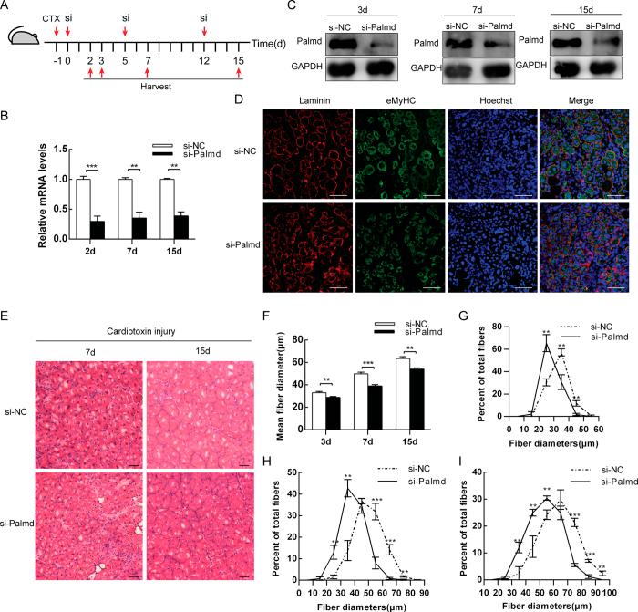 https://cdn.ncbi.nlm.nih.gov/pmc/blobs/6a06/5288731/889eb2c9e57e/srep41608-f5.jpg