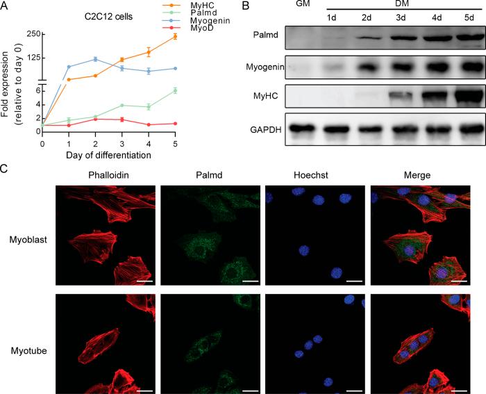 https://cdn.ncbi.nlm.nih.gov/pmc/blobs/6a06/5288731/d32e7688c2d1/srep41608-f1.jpg
