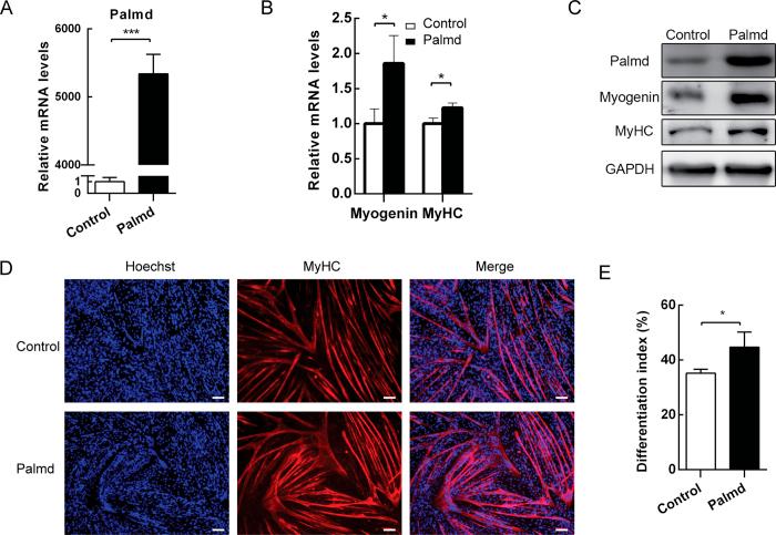 https://cdn.ncbi.nlm.nih.gov/pmc/blobs/6a06/5288731/f9ea81a6e756/srep41608-f3.jpg