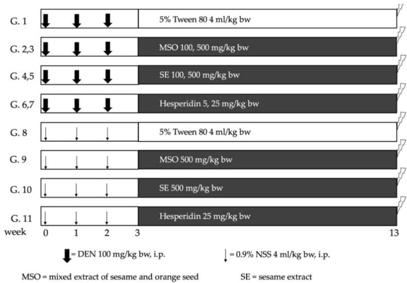 https://cdn.ncbi.nlm.nih.gov/pmc/blobs/6a07/8538859/7efcbab010a0/pharmaceutics-13-01687-g001.jpg