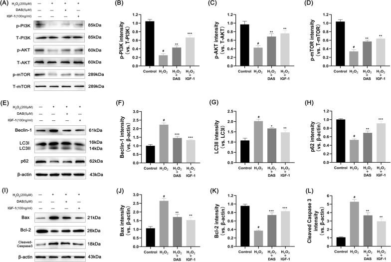 https://cdn.ncbi.nlm.nih.gov/pmc/blobs/6a09/10041752/11763e944aba/13018_2023_3717_Fig7_HTML.jpg