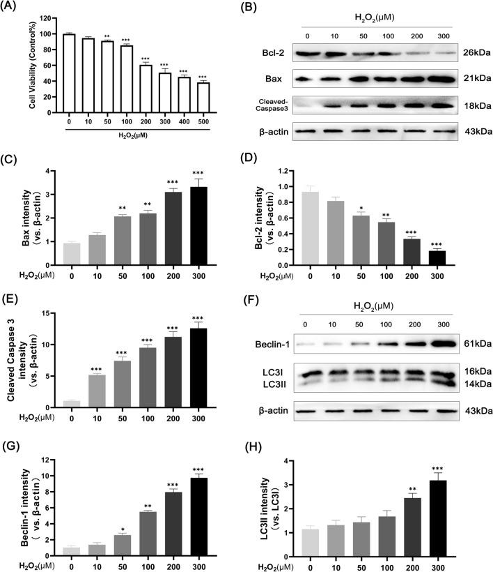 https://cdn.ncbi.nlm.nih.gov/pmc/blobs/6a09/10041752/2dfa17344a42/13018_2023_3717_Fig1_HTML.jpg