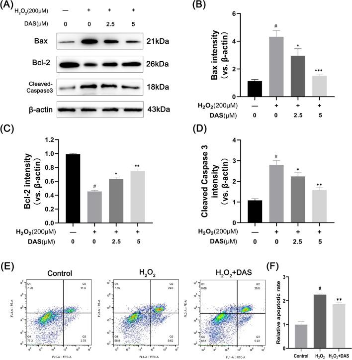 https://cdn.ncbi.nlm.nih.gov/pmc/blobs/6a09/10041752/79836bcc7383/13018_2023_3717_Fig3_HTML.jpg