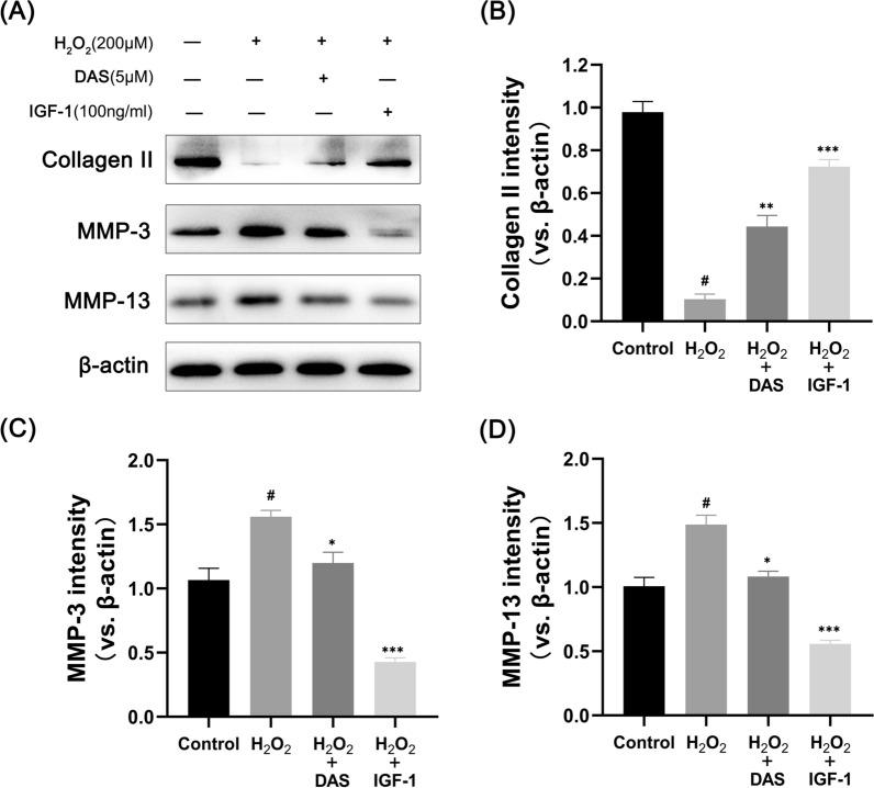 https://cdn.ncbi.nlm.nih.gov/pmc/blobs/6a09/10041752/8ad8888e8633/13018_2023_3717_Fig8_HTML.jpg