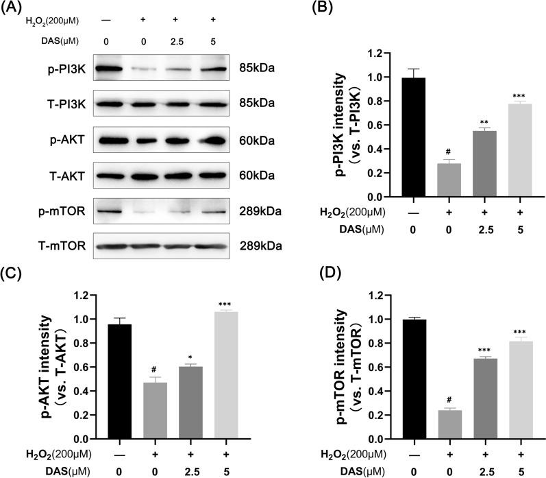 https://cdn.ncbi.nlm.nih.gov/pmc/blobs/6a09/10041752/cd600bca926f/13018_2023_3717_Fig6_HTML.jpg