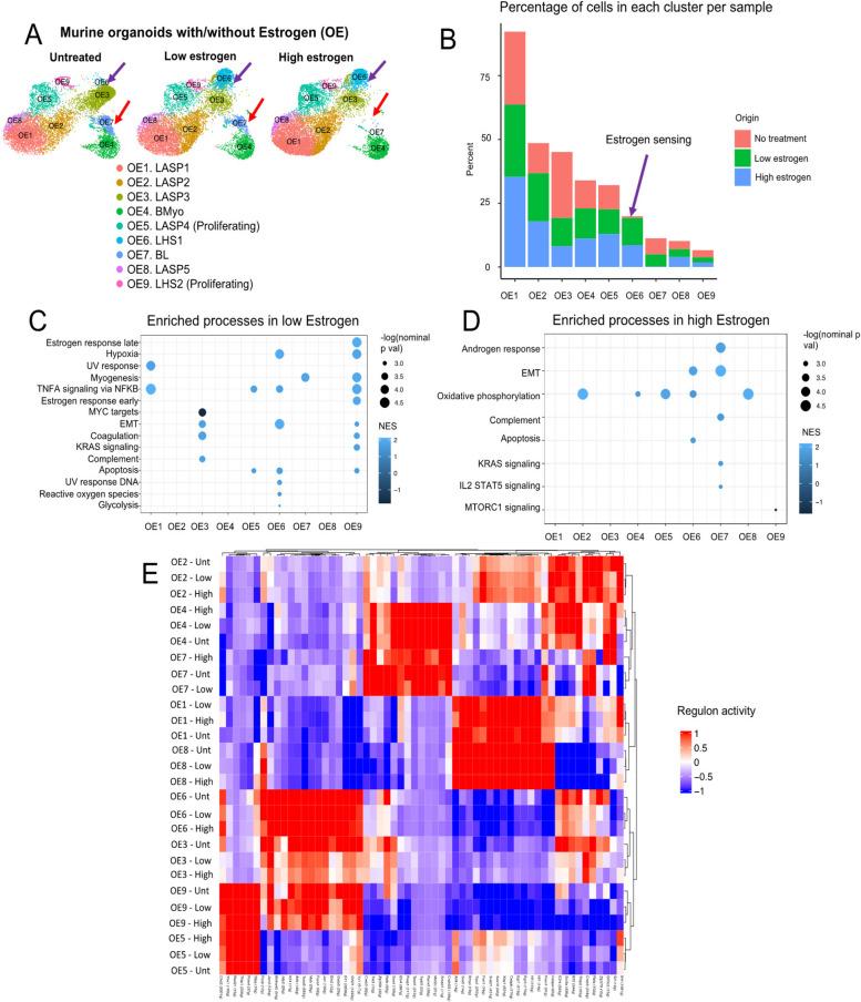 https://cdn.ncbi.nlm.nih.gov/pmc/blobs/6a09/10827859/3923957ea24a/10911_2023_9553_Fig2_HTML.jpg