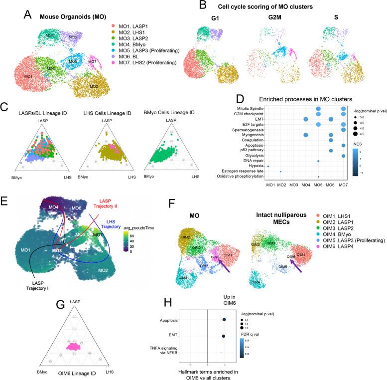https://cdn.ncbi.nlm.nih.gov/pmc/blobs/6a09/10827859/54e203ac3ddc/10911_2023_9553_Fig1_HTML.jpg