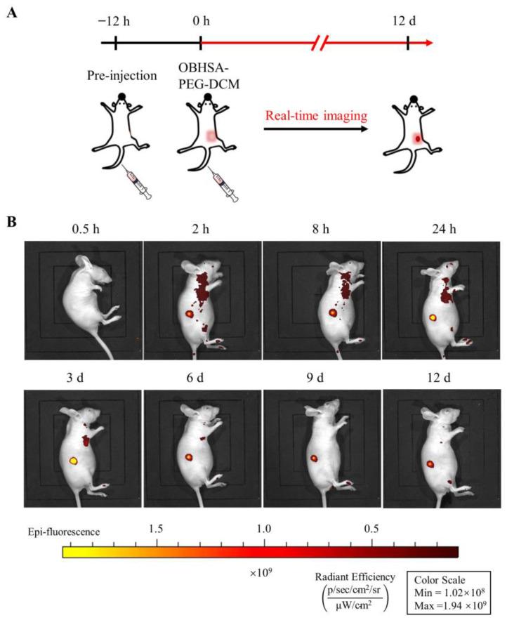 https://cdn.ncbi.nlm.nih.gov/pmc/blobs/6a0b/11767339/e0606862e37a/molecules-30-00305-g007.jpg