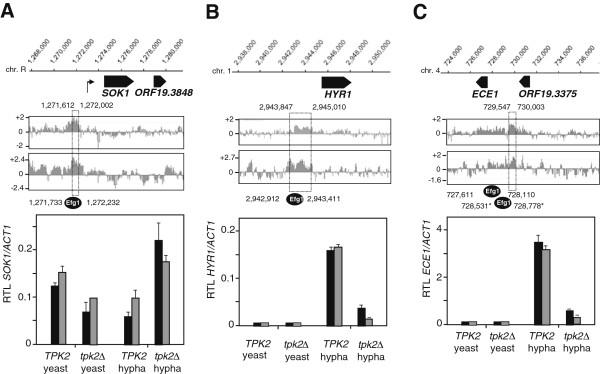 https://cdn.ncbi.nlm.nih.gov/pmc/blobs/6a0c/4046665/37f9d1519674/12864_2013_5556_Fig5_HTML.jpg