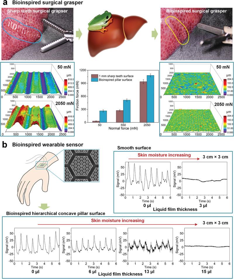 https://cdn.ncbi.nlm.nih.gov/pmc/blobs/6a0d/7578903/3a6ae095a3f3/ADVS-7-2001125-g006.jpg