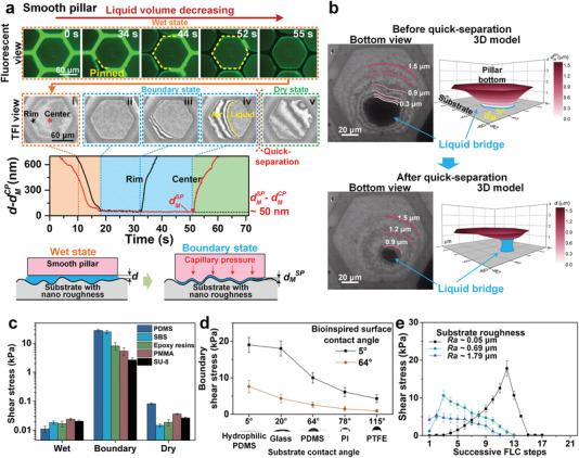 https://cdn.ncbi.nlm.nih.gov/pmc/blobs/6a0d/7578903/c5a9acf6a856/ADVS-7-2001125-g003.jpg
