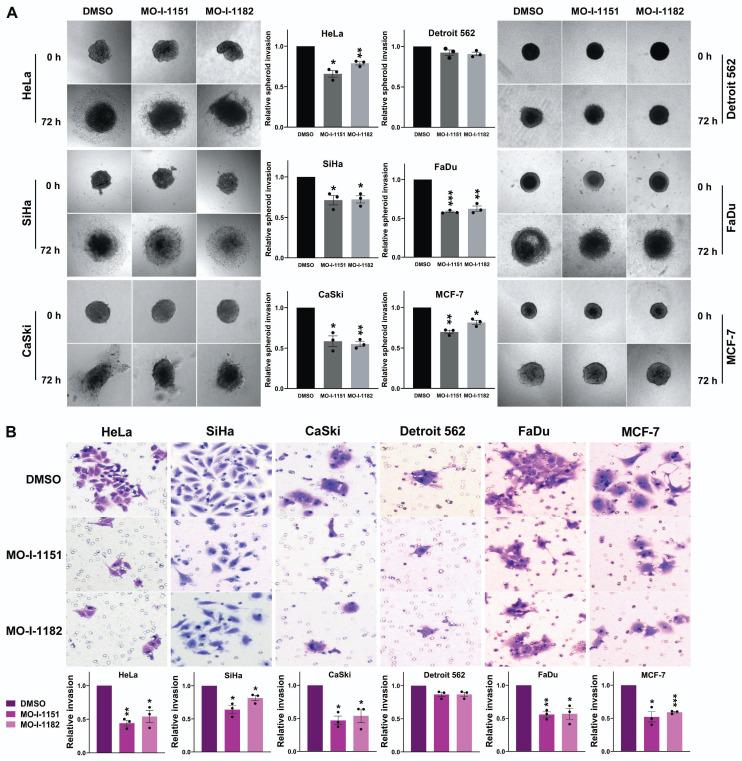 https://cdn.ncbi.nlm.nih.gov/pmc/blobs/6a0e/11134442/e7b2fb49d15a/jcav15p3466g003.jpg