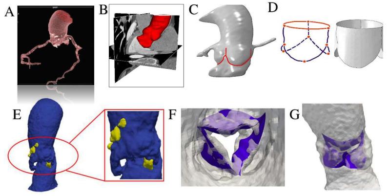 https://cdn.ncbi.nlm.nih.gov/pmc/blobs/6a0e/7712517/4cedd574e682/bioengineering-07-00121-g005.jpg
