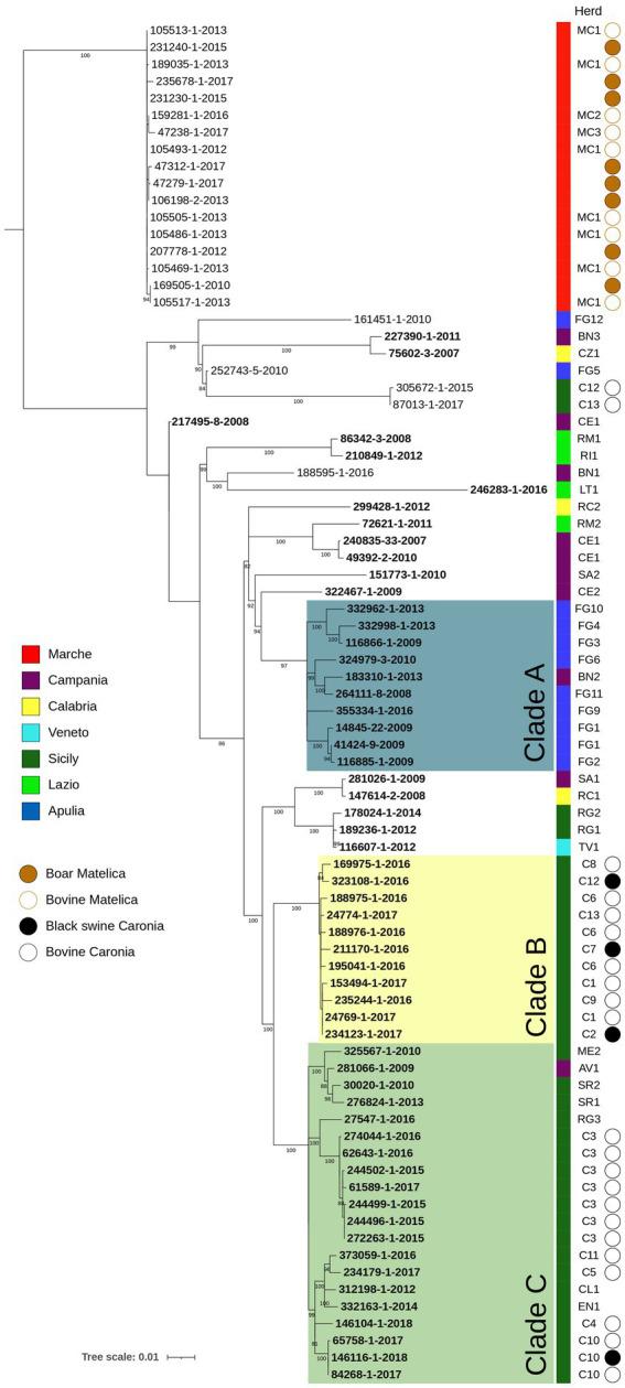 https://cdn.ncbi.nlm.nih.gov/pmc/blobs/6a12/11310128/55e629b877f5/fmicb-15-1416605-g002.jpg