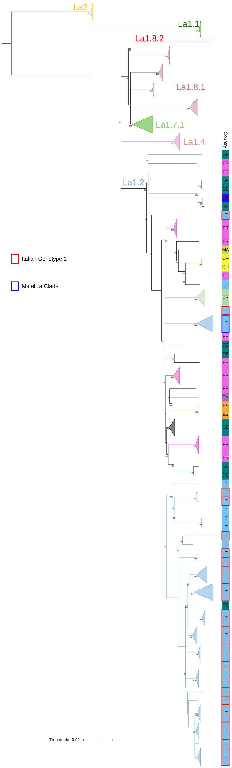 https://cdn.ncbi.nlm.nih.gov/pmc/blobs/6a12/11310128/a2498808a7c1/fmicb-15-1416605-g001.jpg