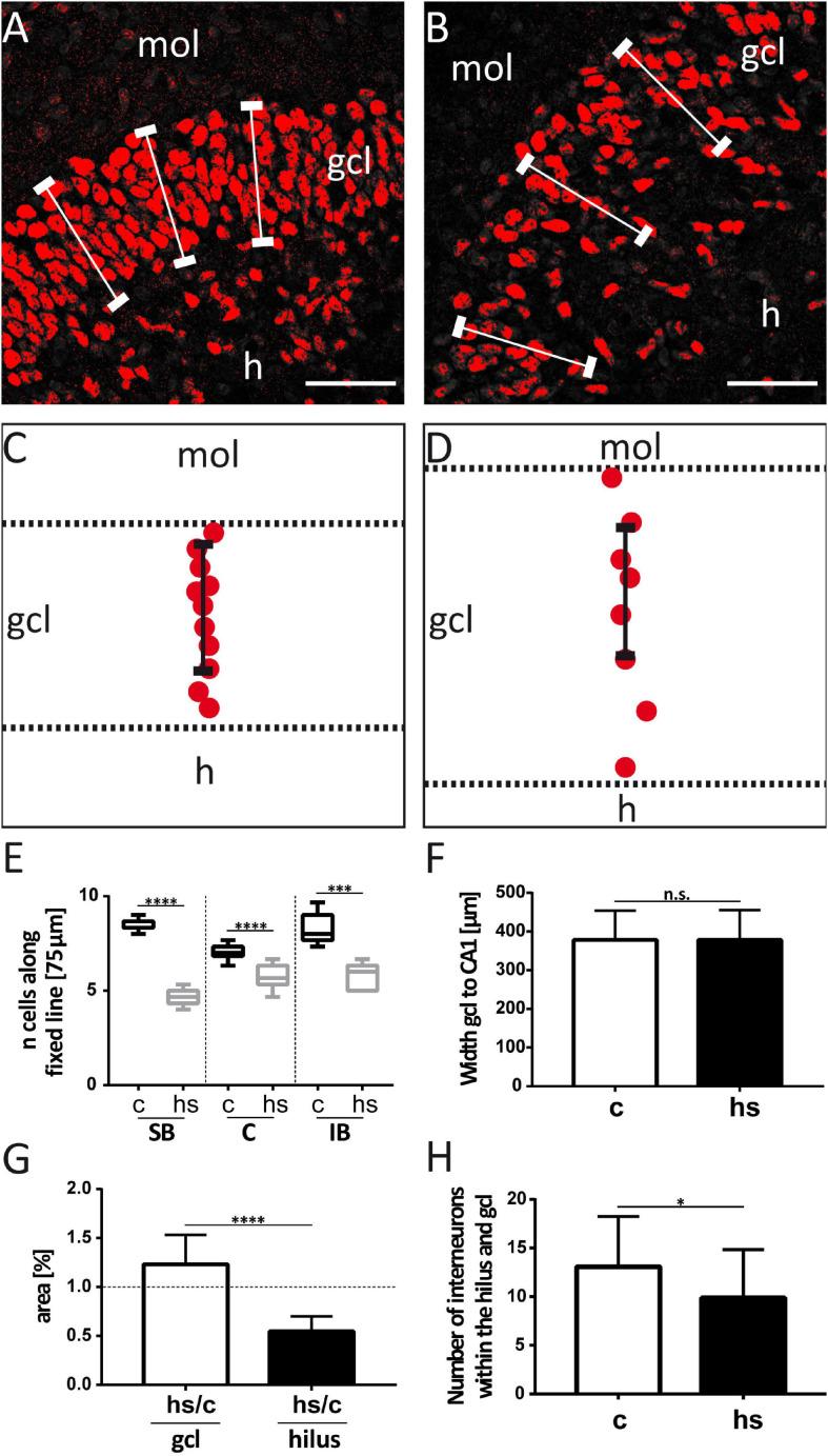 https://cdn.ncbi.nlm.nih.gov/pmc/blobs/6a12/7937632/b0b29462d1ef/fcell-09-626704-g002.jpg