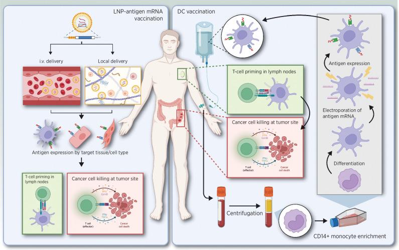https://cdn.ncbi.nlm.nih.gov/pmc/blobs/6a14/9475240/7a21508660bf/3929fig2.jpg