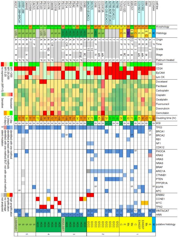 https://cdn.ncbi.nlm.nih.gov/pmc/blobs/6a15/4167545/4e9eaa5e794a/pone.0103988.g002.jpg