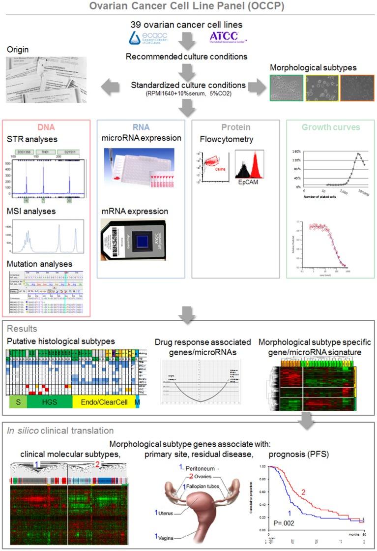 https://cdn.ncbi.nlm.nih.gov/pmc/blobs/6a15/4167545/8ad07161dbde/pone.0103988.g001.jpg