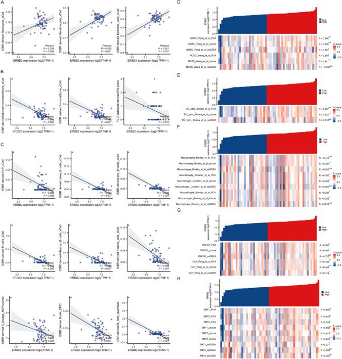 https://cdn.ncbi.nlm.nih.gov/pmc/blobs/6a16/11447174/edc36bf9c395/262_2024_3846_Fig5_HTML.jpg