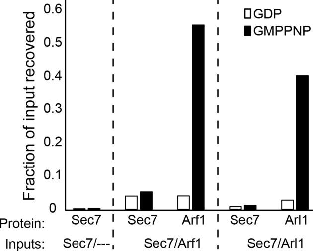 https://cdn.ncbi.nlm.nih.gov/pmc/blobs/6a17/4764562/a1b8bc807c4c/elife-12411-fig4-figsupp4.jpg