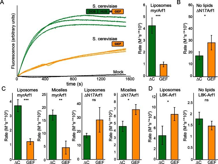 https://cdn.ncbi.nlm.nih.gov/pmc/blobs/6a17/4764562/c9a264b3c58f/elife-12411-fig4.jpg
