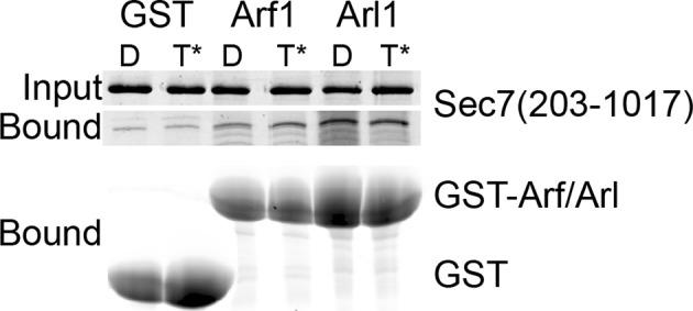 https://cdn.ncbi.nlm.nih.gov/pmc/blobs/6a17/4764562/d91fac10c8b0/elife-12411-fig4-figsupp3.jpg