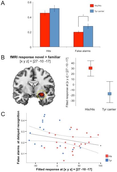 https://cdn.ncbi.nlm.nih.gov/pmc/blobs/6a18/3022731/ee75e145092b/pone.0015984.g003.jpg