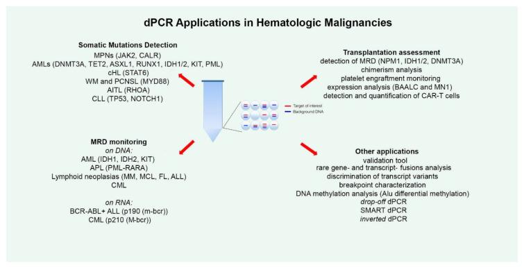 https://cdn.ncbi.nlm.nih.gov/pmc/blobs/6a18/7247671/bb9bbccd10ef/ijms-21-03141-g001.jpg