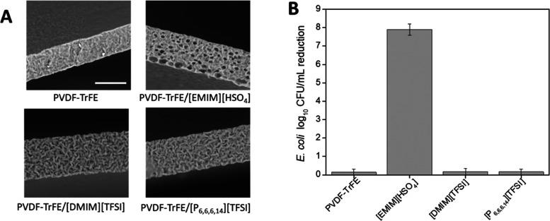 https://cdn.ncbi.nlm.nih.gov/pmc/blobs/6a19/9778738/33bf64670b22/mt2c00615_0007.jpg