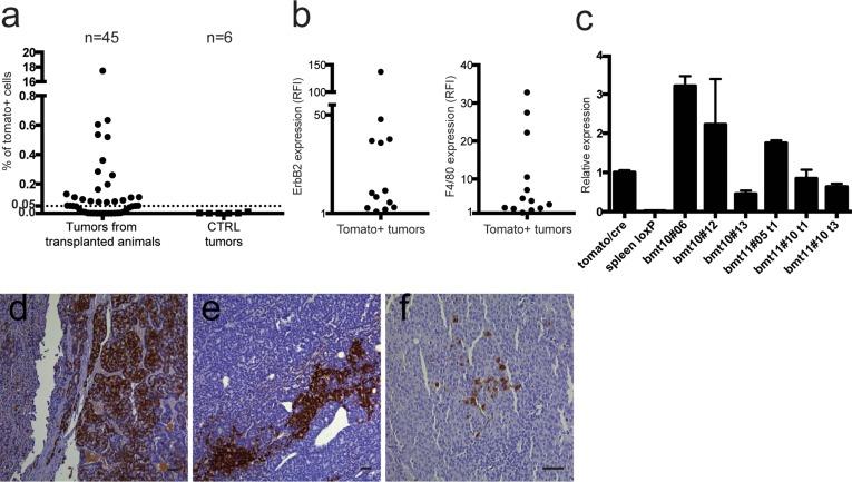 https://cdn.ncbi.nlm.nih.gov/pmc/blobs/6a1a/5308617/ac86b137bfee/oncotarget-07-60793-g005.jpg