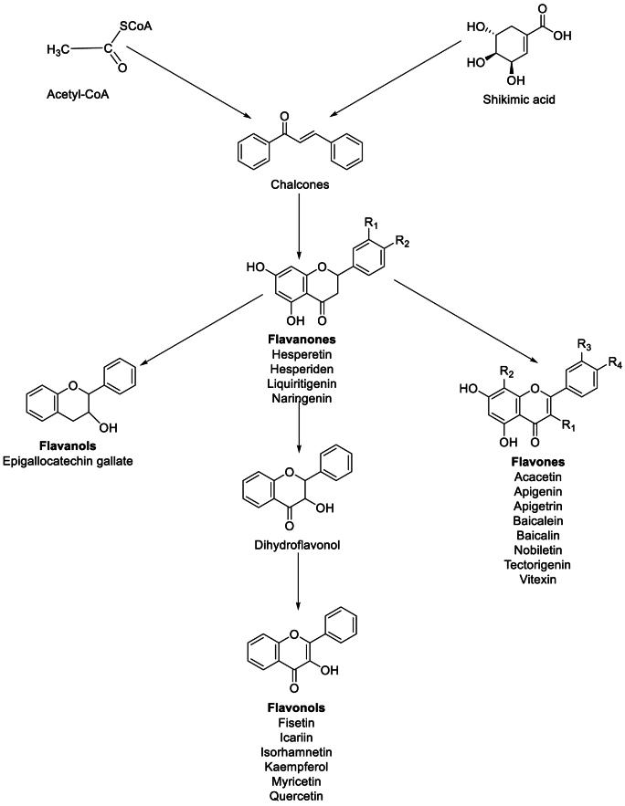 https://cdn.ncbi.nlm.nih.gov/pmc/blobs/6a1c/11153890/c2e0de6d44db/gr2.jpg