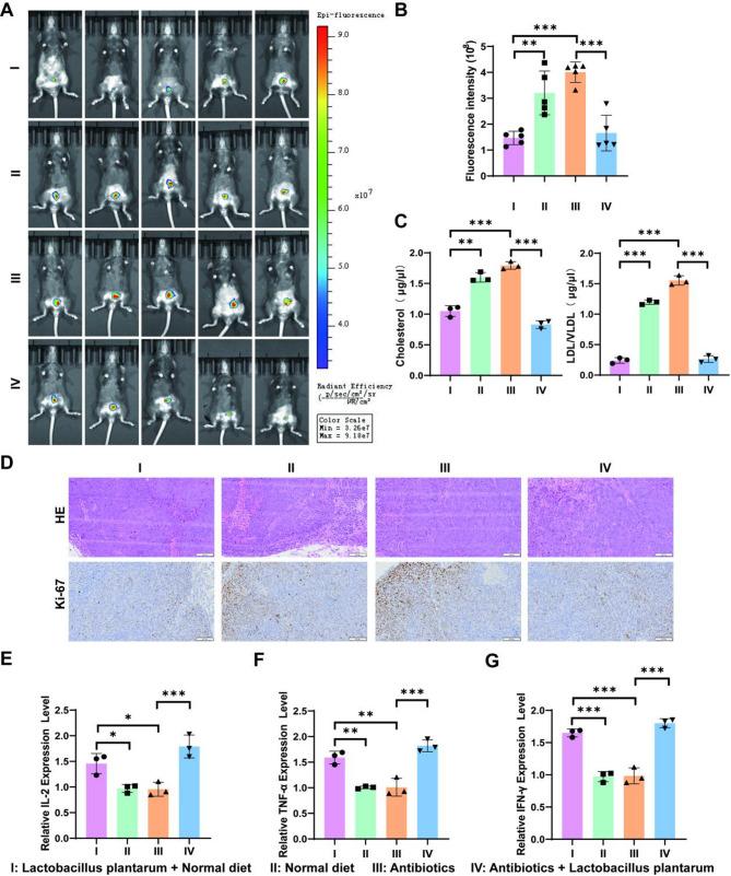 https://cdn.ncbi.nlm.nih.gov/pmc/blobs/6a1c/12128496/39a52de4eea4/12885_2025_14379_Fig3_HTML.jpg