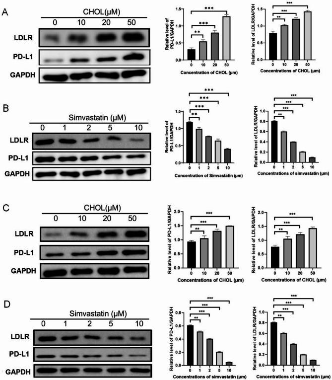 https://cdn.ncbi.nlm.nih.gov/pmc/blobs/6a1c/12128496/3c498a2d9f8b/12885_2025_14379_Fig5_HTML.jpg