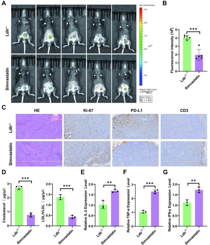 https://cdn.ncbi.nlm.nih.gov/pmc/blobs/6a1c/12128496/4d00eb4e9ab0/12885_2025_14379_Fig4_HTML.jpg