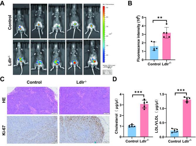 https://cdn.ncbi.nlm.nih.gov/pmc/blobs/6a1c/12128496/d4528137f83a/12885_2025_14379_Fig1_HTML.jpg