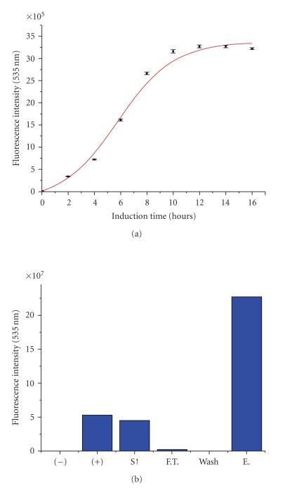 https://cdn.ncbi.nlm.nih.gov/pmc/blobs/6a1f/2826880/d1490ba10cb6/JBB2009-591923.004.jpg