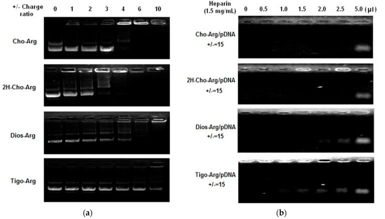 https://cdn.ncbi.nlm.nih.gov/pmc/blobs/6a21/5855591/54d0059e2e33/ijms-19-00369-g001.jpg