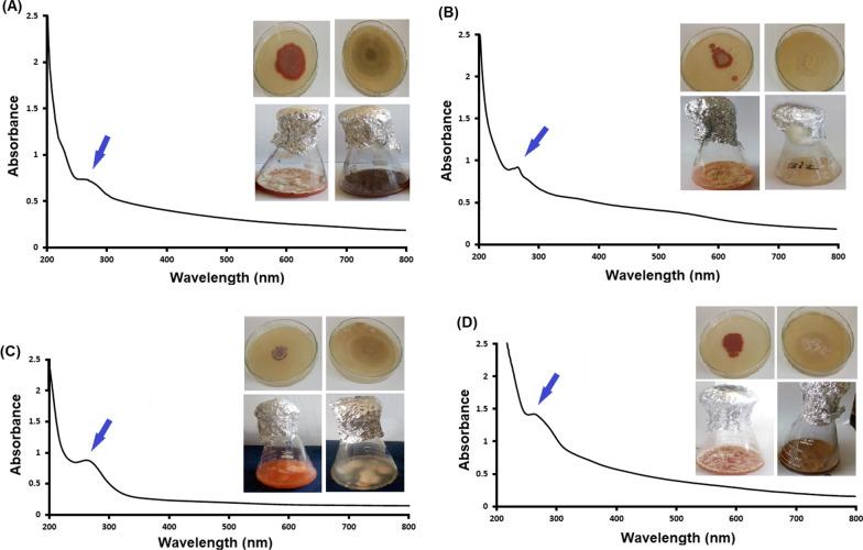 https://cdn.ncbi.nlm.nih.gov/pmc/blobs/6a21/9177918/2d86f05619a4/13568_2022_1408_Fig2_HTML.jpg
