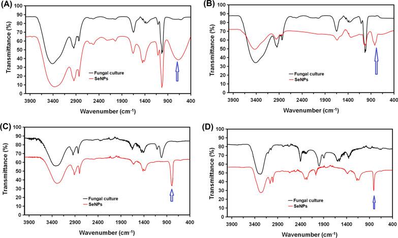 https://cdn.ncbi.nlm.nih.gov/pmc/blobs/6a21/9177918/54c0cd7a5bde/13568_2022_1408_Fig5_HTML.jpg