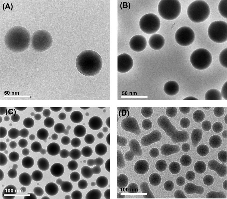 https://cdn.ncbi.nlm.nih.gov/pmc/blobs/6a21/9177918/8fb8db805bf4/13568_2022_1408_Fig4_HTML.jpg